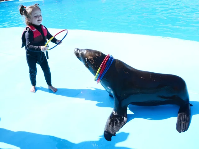 Dolphina Park Hurghada Show Tickets & Transfer Options — photo 7