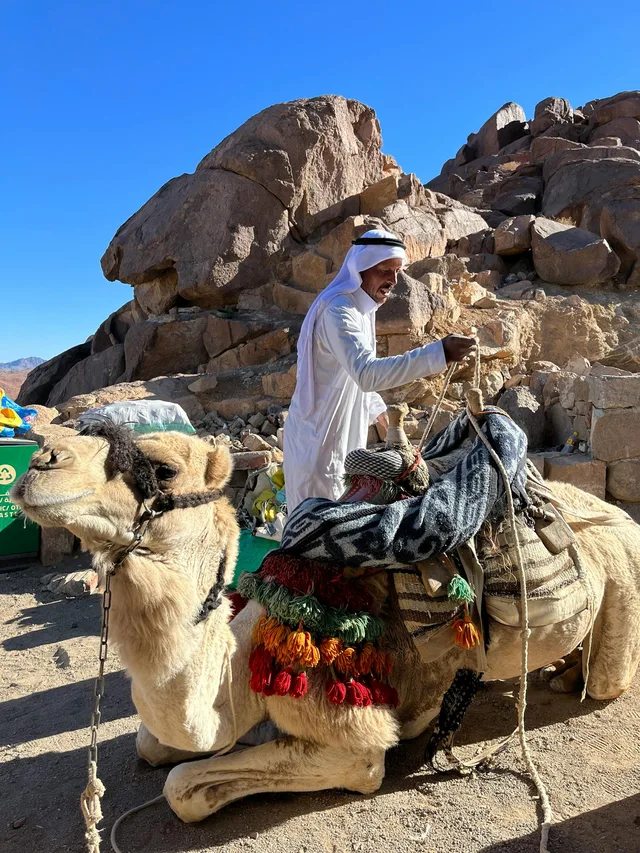 Mount Sinai Sunrise & St. Catherine Tour from Dahab — photo 22
