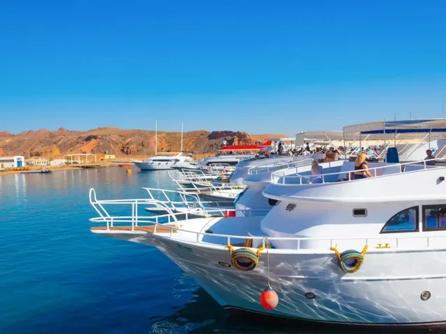 From Sharm: White Island and Ras Mohamed Snorkelling Trip — photo 26