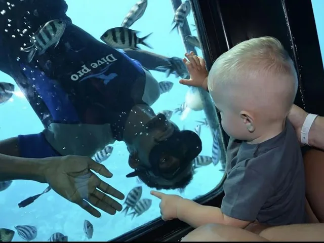 Hurghada Royal Seascope Semi-Submarine Experience — photo 5