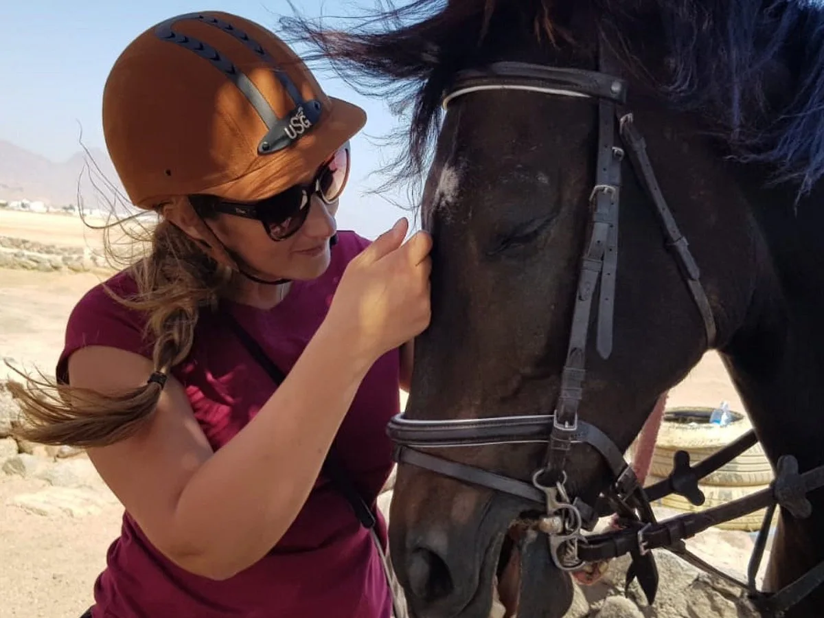 Dahab Lagoon Beach Horse Riding Tour — tour photograph