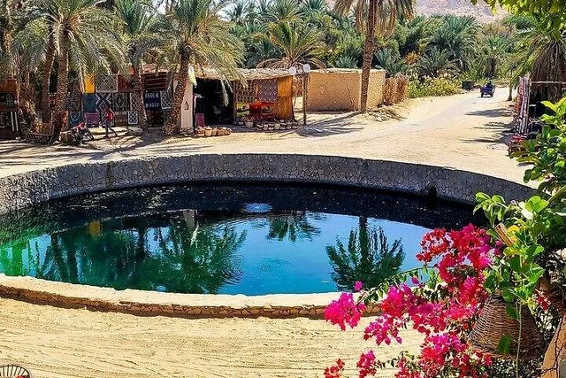 Private Siwa Oasis Full Day Tour — photo 33