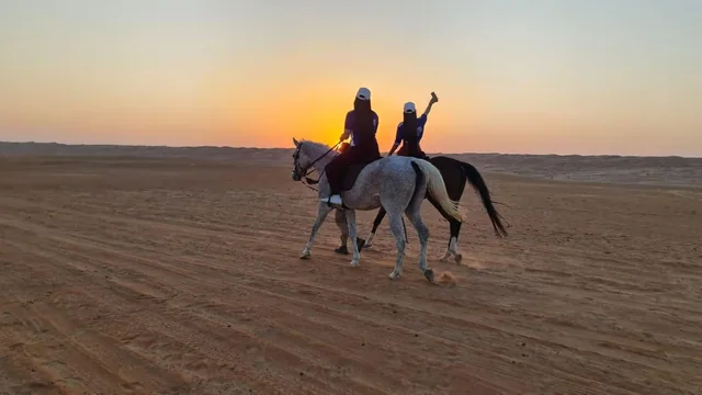 Desert Safari, Quadbike & Sunset — reference photograph