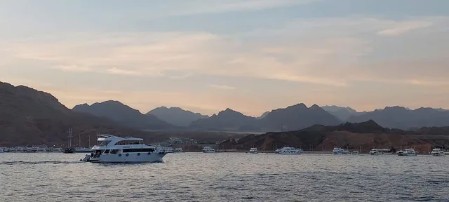 From Sharm: White Island and Ras Mohamed Snorkelling Trip — photo 8