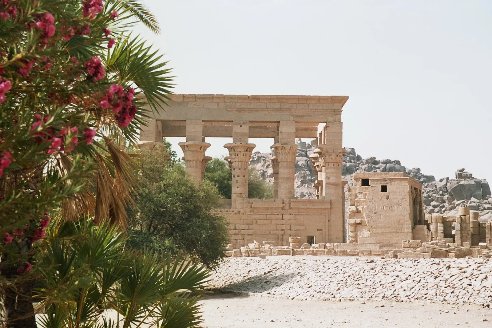 Trajan’s Kiosk at Philae Temple in Aswan, framed by palms and flowers