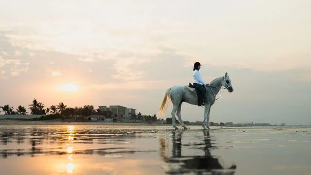 Horse Riding on the Beach — reference photograph