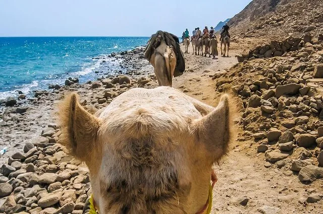 Coloured Canyon Jeep Safari from Taba — photo 9