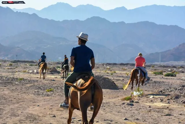 Dahab Lagoon Beach Horse Riding Tour — photo 6