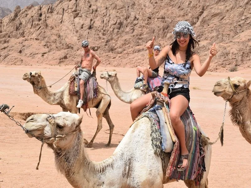 Camel Ride & Bedouin Dinner Safari from Sharm El Sheikh — tour photograph