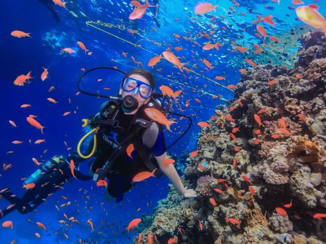 Sharm El-Sheikh: Tiran Island Cruise, Snorkelling with Lunch — photo 12