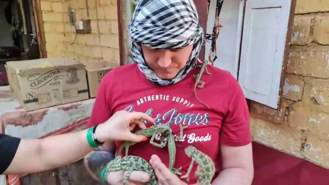 Hurghada Sahara Park Mega Safari with BBQ Dinner — photo 6