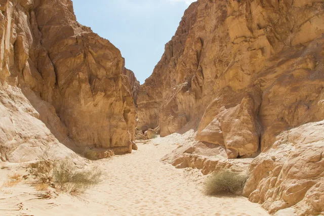 White Canyon & Coloured Canyon Jeep Safari from Dahab — photo 17
