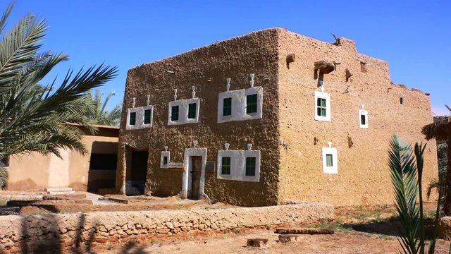 Private Siwa Oasis Full Day Tour — photo 39