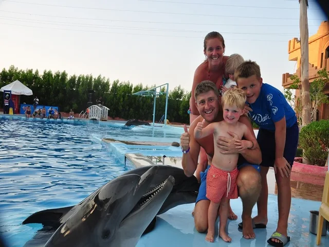 Dolphin Show in Sharm El Sheikh — photo 4