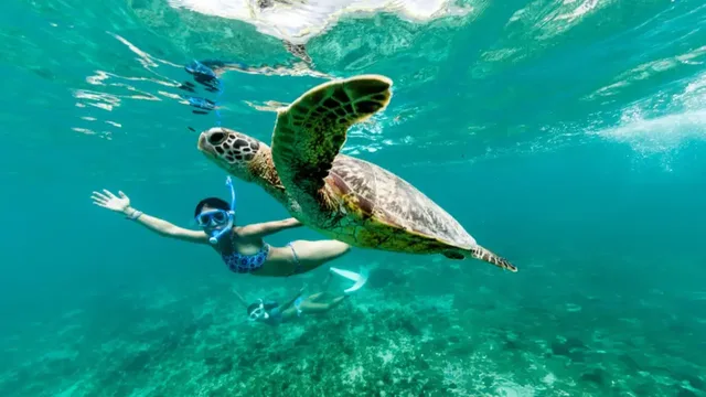 Marsa Mubarak Snorkeling: Dugongs & Turtles from Marsa Alam — photo 3