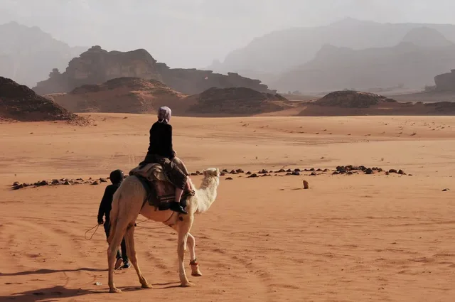 Petra Day Tour from Taba by Ferry — photo 5