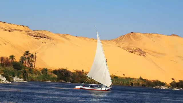 Private Aswan Felucca Ride and Botanical Garden Visit — photo 4