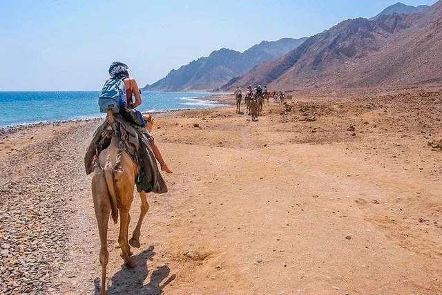 Coloured Canyon Jeep Safari from Taba — photo 13