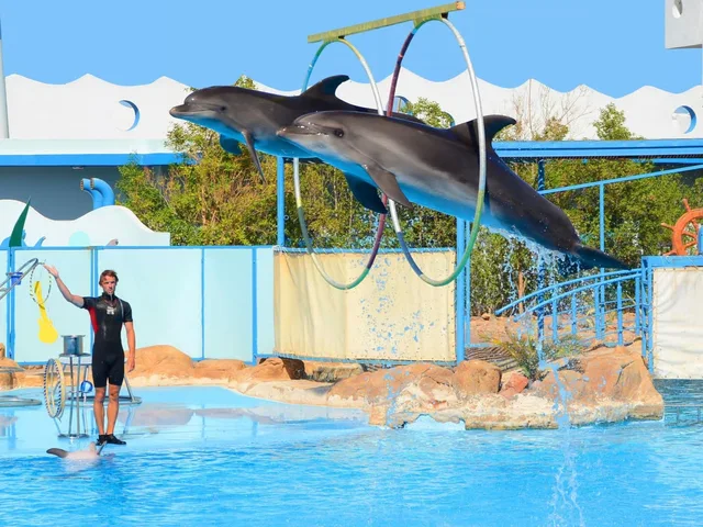 Dolphin World Makadi Show from Hurghada — photo 6