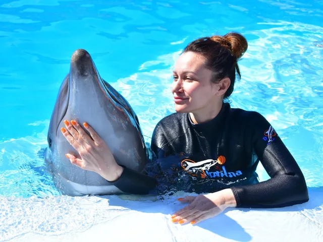 Dolphin Show in Sharm El Sheikh — photo 10