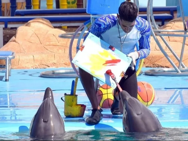 Dolphin World Makadi Show from Hurghada — photo 14