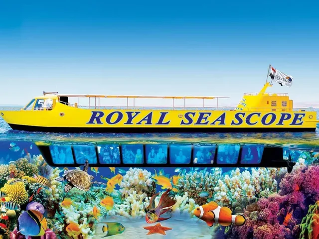 Royal Seascope Semi-Submarine Tour in Marsa Alam — tour photograph