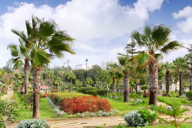 Alexandria Port Shore Excursion: City Highlights — photo 17