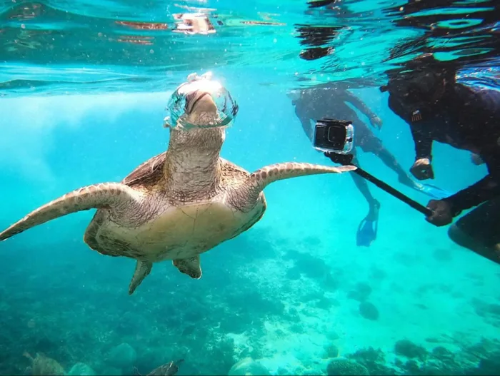 Daymaniat Islands Snorkelling Trip with Brunch from Muscat